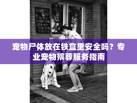宠物尸体放在铁盒里安全吗？专业宠物殡葬服务指南