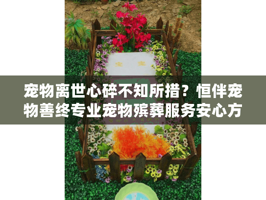 宠物离世心碎不知所措？恒伴宠物善终专业宠物殡葬服务安心方案