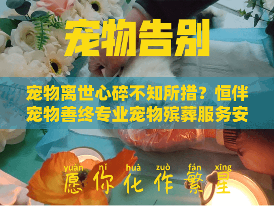 宠物离世心碎不知所措？恒伴宠物善终专业宠物殡葬服务安心方案