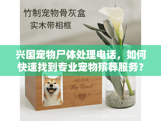 兴国宠物尸体处理电话，如何快速找到专业宠物殡葬服务？