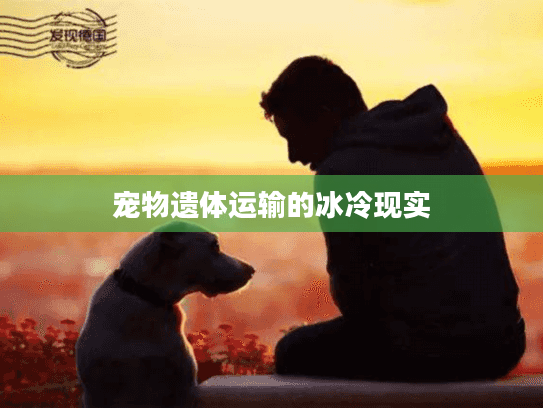 宠物遗体运输的冰冷现实