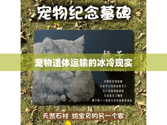 宠物遗体运输的冰冷现实