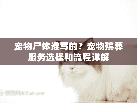宠物尸体谁写的？宠物殡葬服务选择和流程详解