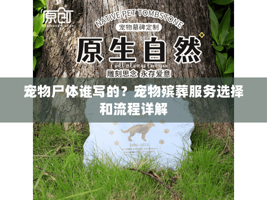宠物尸体谁写的？宠物殡葬服务选择和流程详解