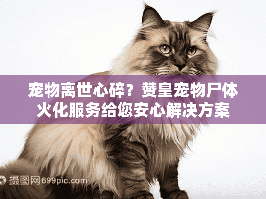 宠物离世心碎？赞皇宠物尸体火化服务给您安心解决方案