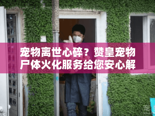 宠物离世心碎？赞皇宠物尸体火化服务给您安心解决方案
