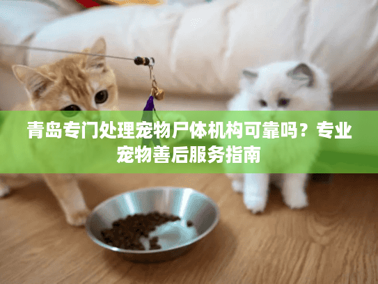 青岛专门处理宠物尸体机构可靠吗？专业宠物善后服务指南