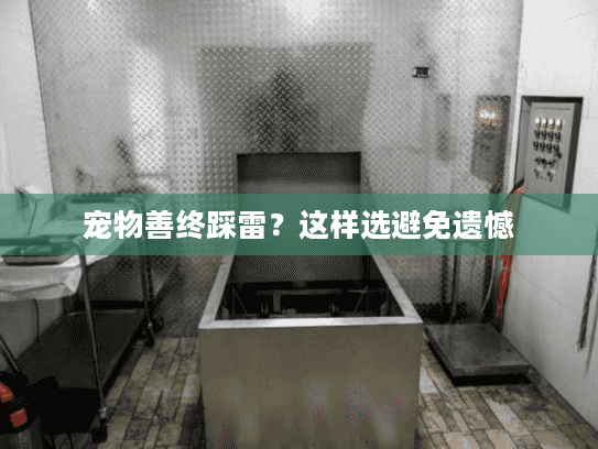 宠物善终踩雷？这样选避免遗憾