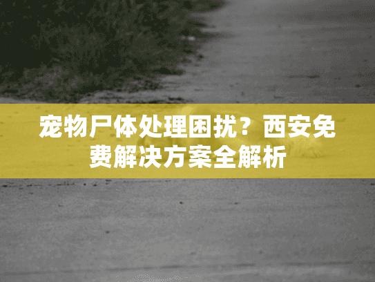 宠物尸体处理困扰？西安免费解决方案全解析