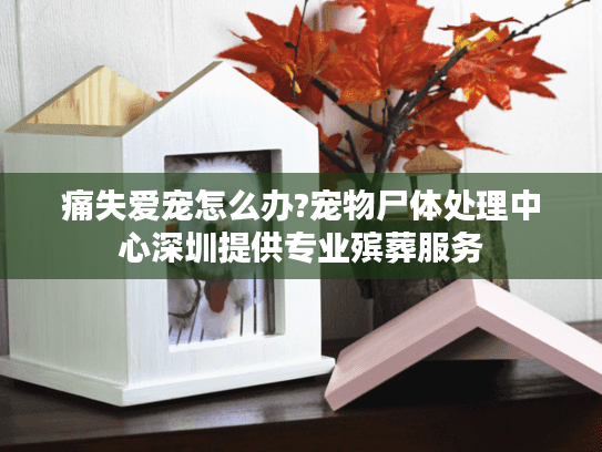 痛失爱宠怎么办?宠物尸体处理中心深圳提供专业殡葬服务