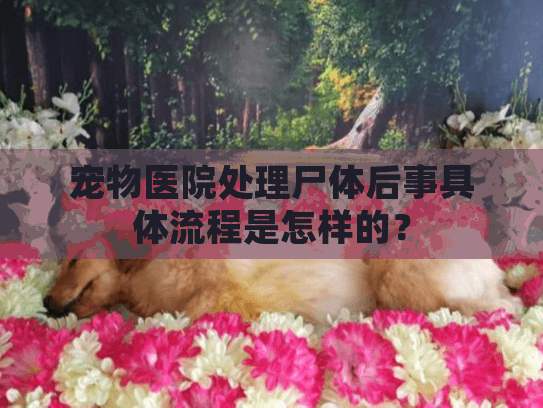 宠物医院处理尸体后事具体流程是怎样的？