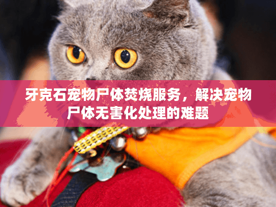 牙克石宠物尸体焚烧服务，解决宠物尸体无害化处理的难题
