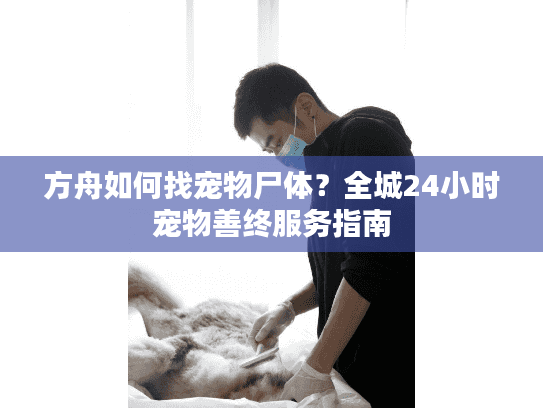 方舟如何找宠物尸体？全城24小时宠物善终服务指南