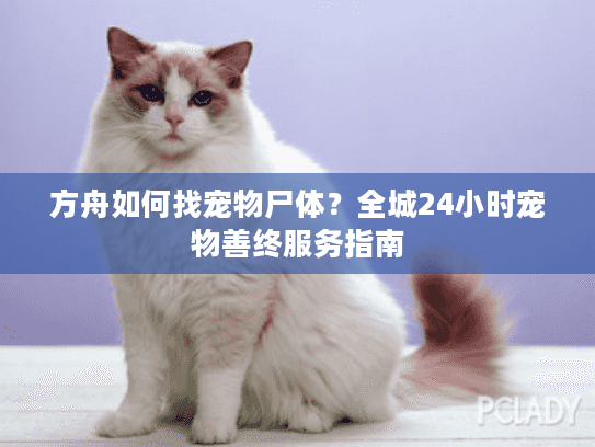方舟如何找宠物尸体？全城24小时宠物善终服务指南