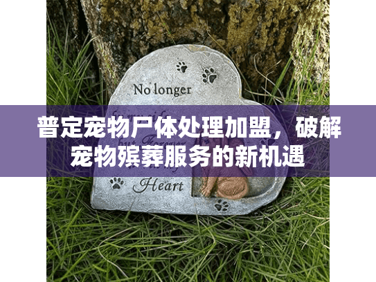 普定宠物尸体处理加盟，破解宠物殡葬服务的新机遇