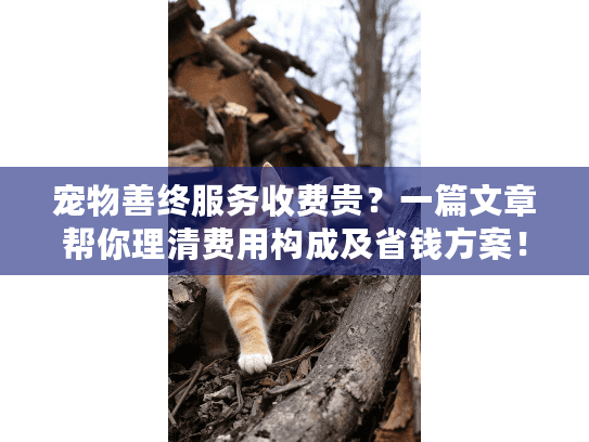 宠物善终服务收费贵？一篇文章帮你理清费用构成及省钱方案！