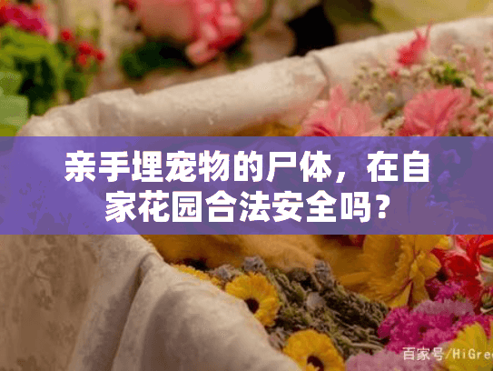 亲手埋宠物的尸体，在自家花园合法安全吗？