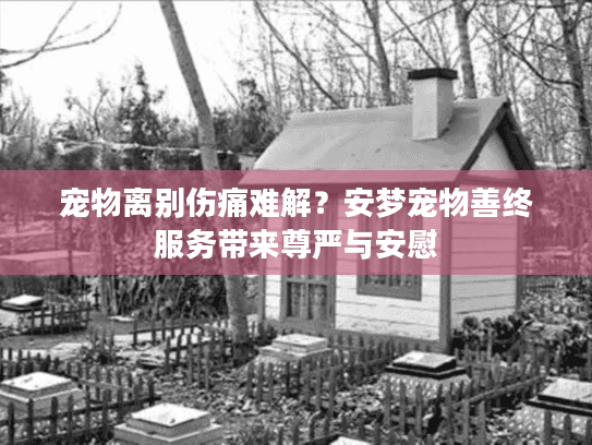 宠物离别伤痛难解？安梦宠物善终服务带来尊严与安慰