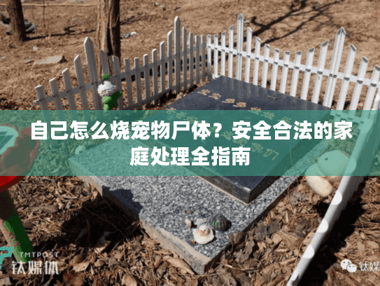 自己怎么烧宠物尸体？安全合法的家庭处理全指南