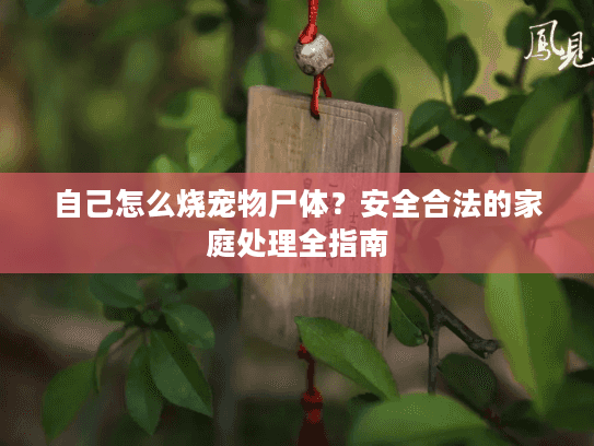 自己怎么烧宠物尸体？安全合法的家庭处理全指南