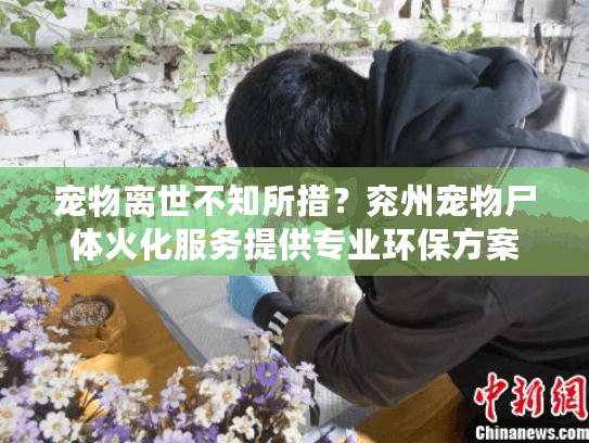 宠物离世不知所措？兖州宠物尸体火化服务提供专业环保方案
