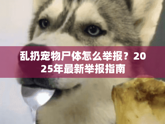 乱扔宠物尸体怎么举报？2025年最新举报指南