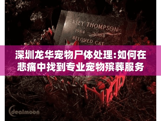 深圳龙华宠物尸体处理:如何在悲痛中找到专业宠物殡葬服务?