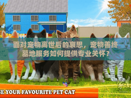 面对宠物离世后的哀思，宠物善终墓地服务如何提供专业关怀？