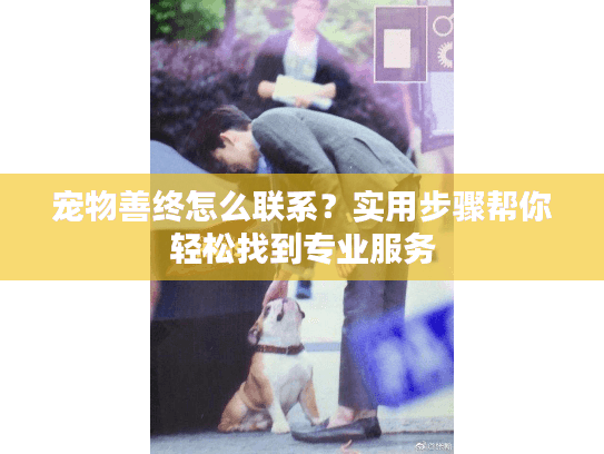 宠物善终怎么联系？实用步骤帮你轻松找到专业服务