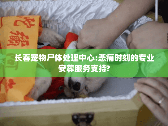 长春宠物尸体处理中心:悲痛时刻的专业安葬服务支持?