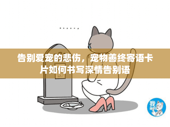 告别爱宠的悲伤，宠物善终寄语卡片如何书写深情告别语