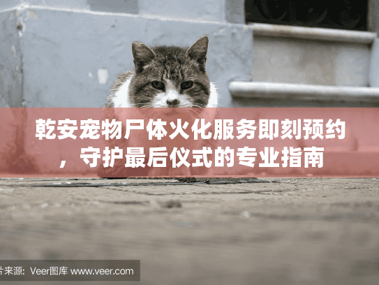 乾安宠物尸体火化服务即刻预约，守护最后仪式的专业指南