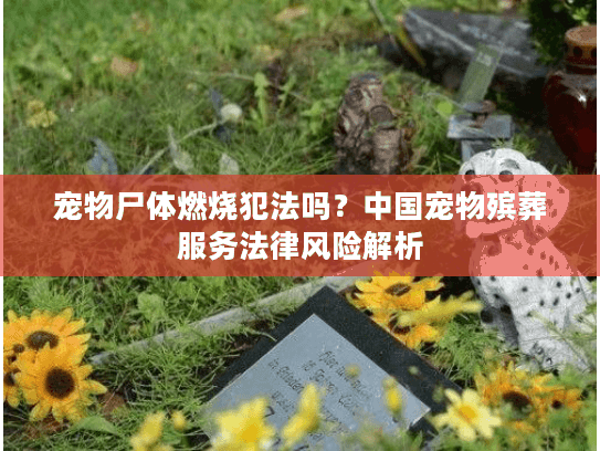 宠物尸体燃烧犯法吗？中国宠物殡葬服务法律风险解析