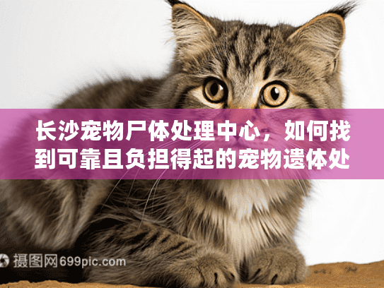 长沙宠物尸体处理中心，如何找到可靠且负担得起的宠物遗体处理服务？