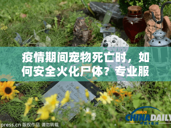 疫情期间宠物死亡时，如何安全火化尸体？专业服务指南