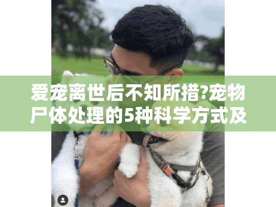 爱宠离世后不知所措?宠物尸体处理的5种科学方式及选择指南