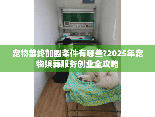 宠物善终加盟条件有哪些?2025年宠物殡葬服务创业全攻略