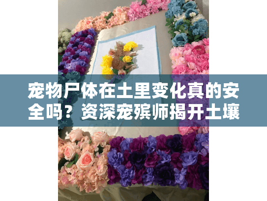 宠物尸体在土里变化真的安全吗？资深宠殡师揭开土壤埋葬的5大隐患