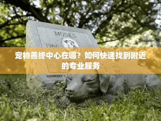 宠物善终中心在哪？如何快速找到附近的专业服务
