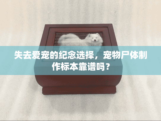 失去爱宠的纪念选择，宠物尸体制作标本靠谱吗？