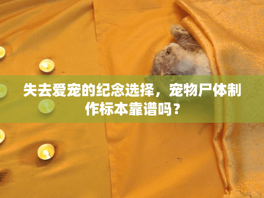 失去爱宠的纪念选择，宠物尸体制作标本靠谱吗？