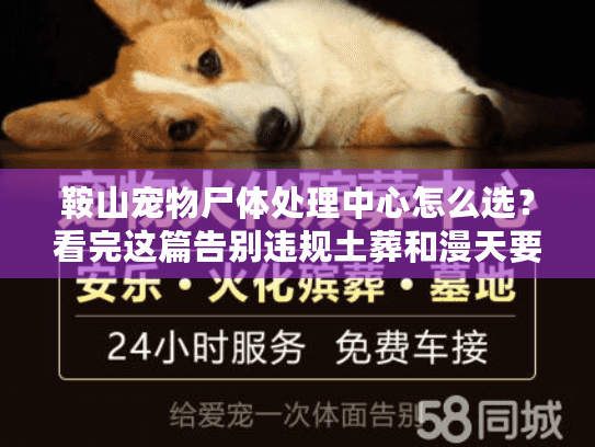 鞍山宠物尸体处理中心怎么选？看完这篇告别违规土葬和漫天要价