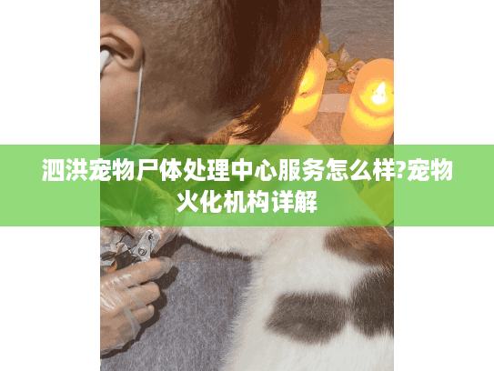 泗洪宠物尸体处理中心服务怎么样?宠物火化机构详解