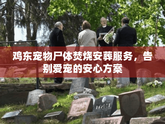 鸡东宠物尸体焚烧安葬服务，告别爱宠的安心方案