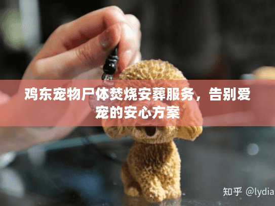 鸡东宠物尸体焚烧安葬服务，告别爱宠的安心方案