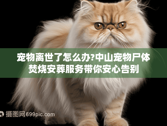 宠物离世了怎么办?中山宠物尸体焚烧安葬服务带你安心告别