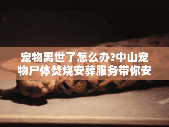 宠物离世了怎么办?中山宠物尸体焚烧安葬服务带你安心告别