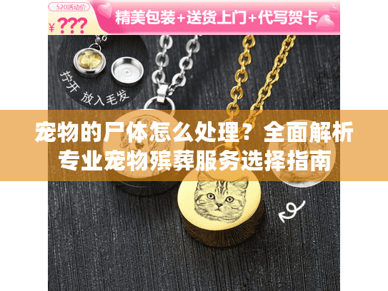 宠物的尸体怎么处理？全面解析专业宠物殡葬服务选择指南