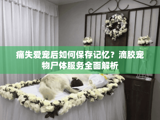 痛失爱宠后如何保存记忆？滴胶宠物尸体服务全面解析