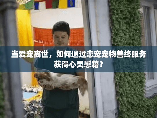 当爱宠离世，如何通过恋宠宠物善终服务获得心灵慰藉？